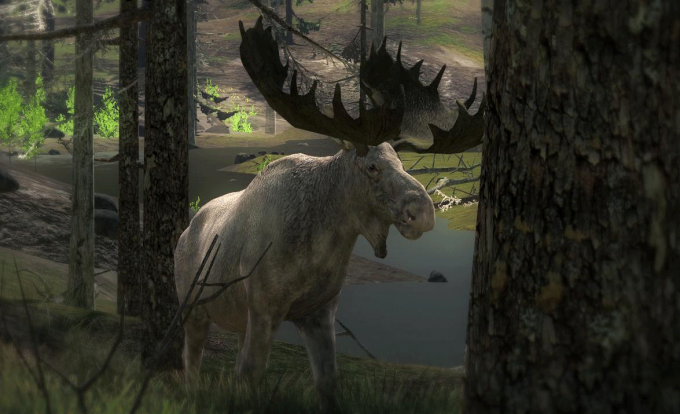 Ce a surprins cineva pe un aparat foto în Canada. Nu este ca nimic din ce ai văzut până acum