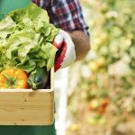 agricultura ecologica