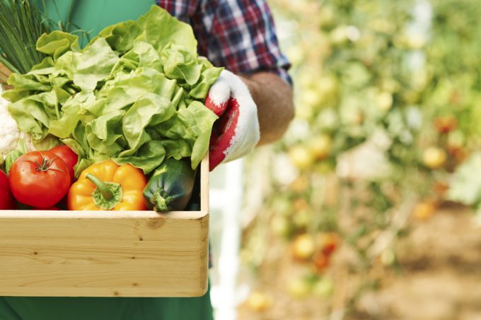 agricultura ecologica