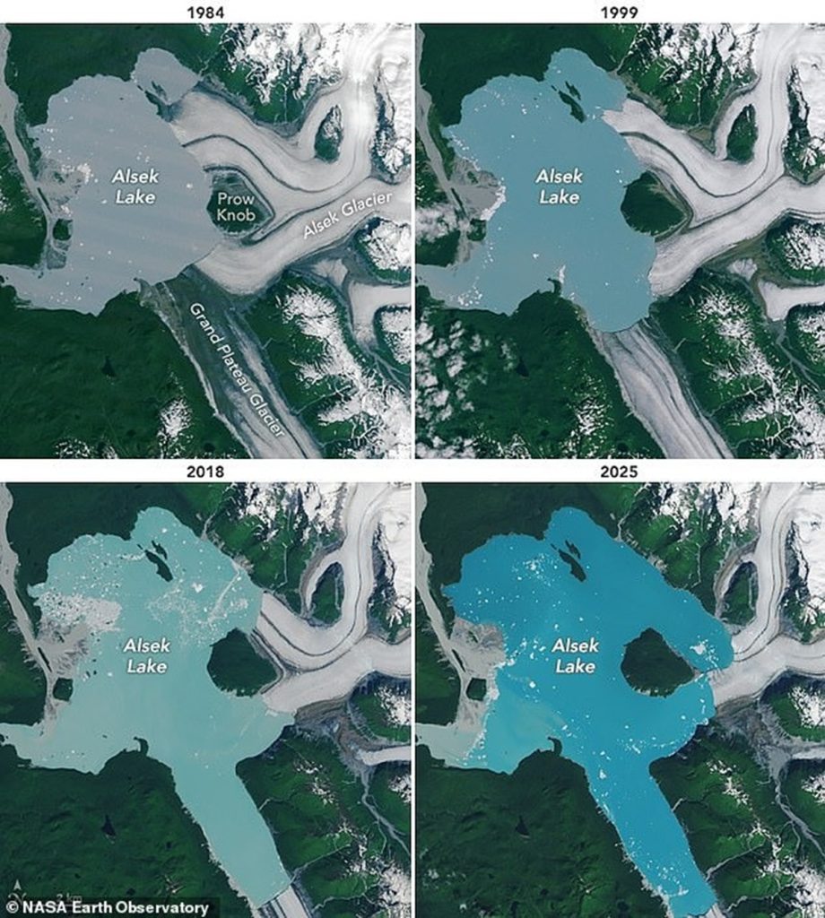 Insula Prow Knob apărută după topirea ghețarului Alsek în Alaska