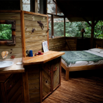 case-ecologice