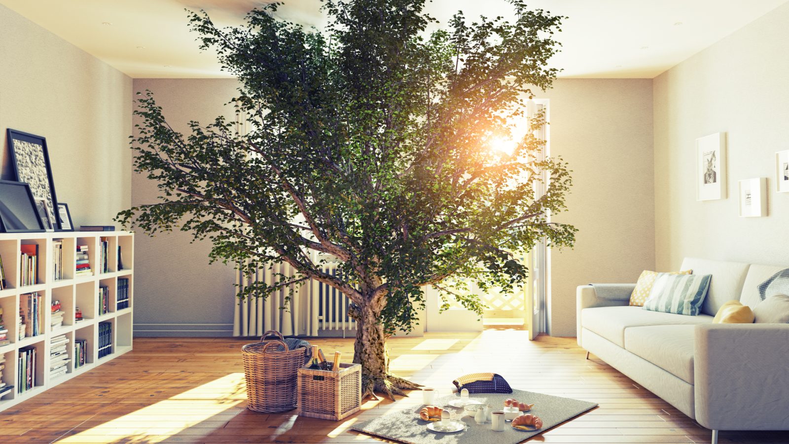 Conectare la Natura