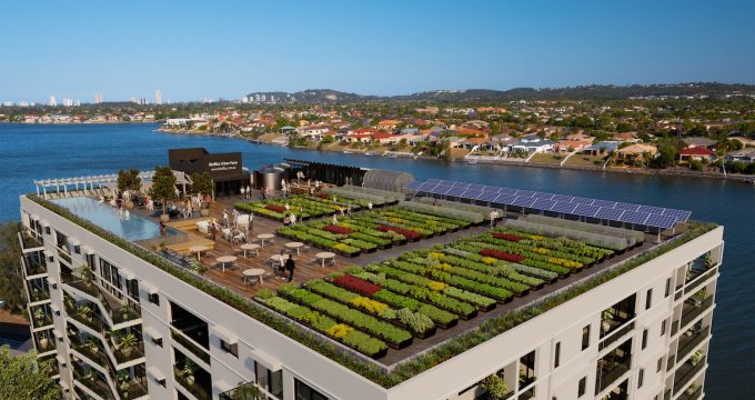 gradini urbane comunitare