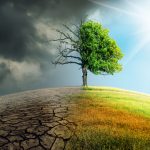Încălzirea globală accelerează schimbările climatice: temperaturi record, ghețari topiți, fenomene extreme. Află cauze, efecte și soluții pentru un viitor sustenabil.