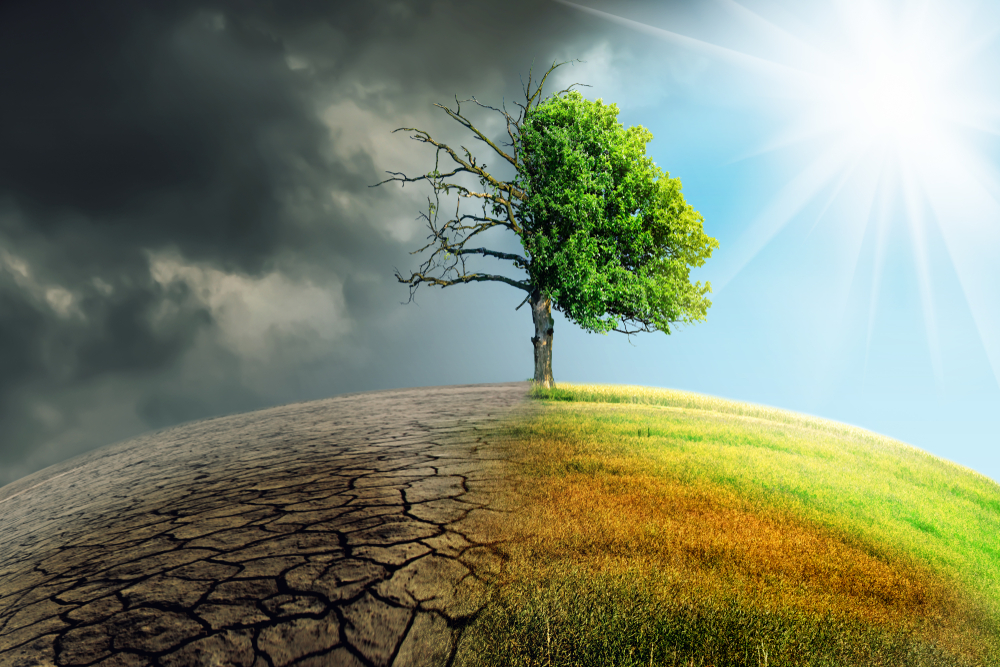 Încălzirea globală accelerează schimbările climatice: temperaturi record, ghețari topiți, fenomene extreme. Află cauze, efecte și soluții pentru un viitor sustenabil.