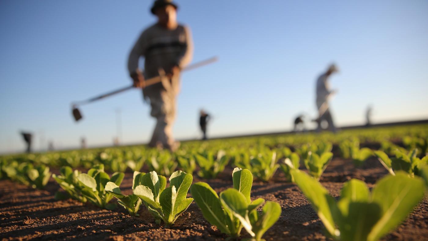 productia de alimente