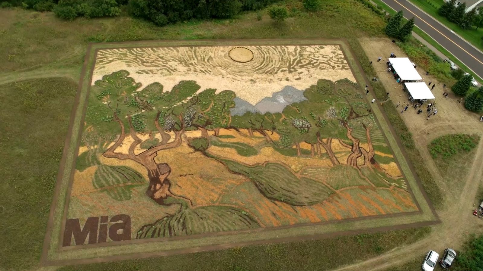 van gogh camp