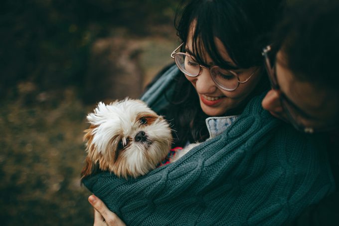 Sanatatea animalelor de companie