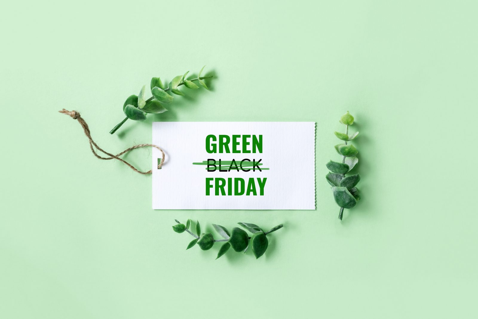 Un Black Friday responsabil înseamnă cumpărături conștiente, fără risipă și cu impact redus asupra mediului. Află cum poți să schimbi modul în care cumperi.