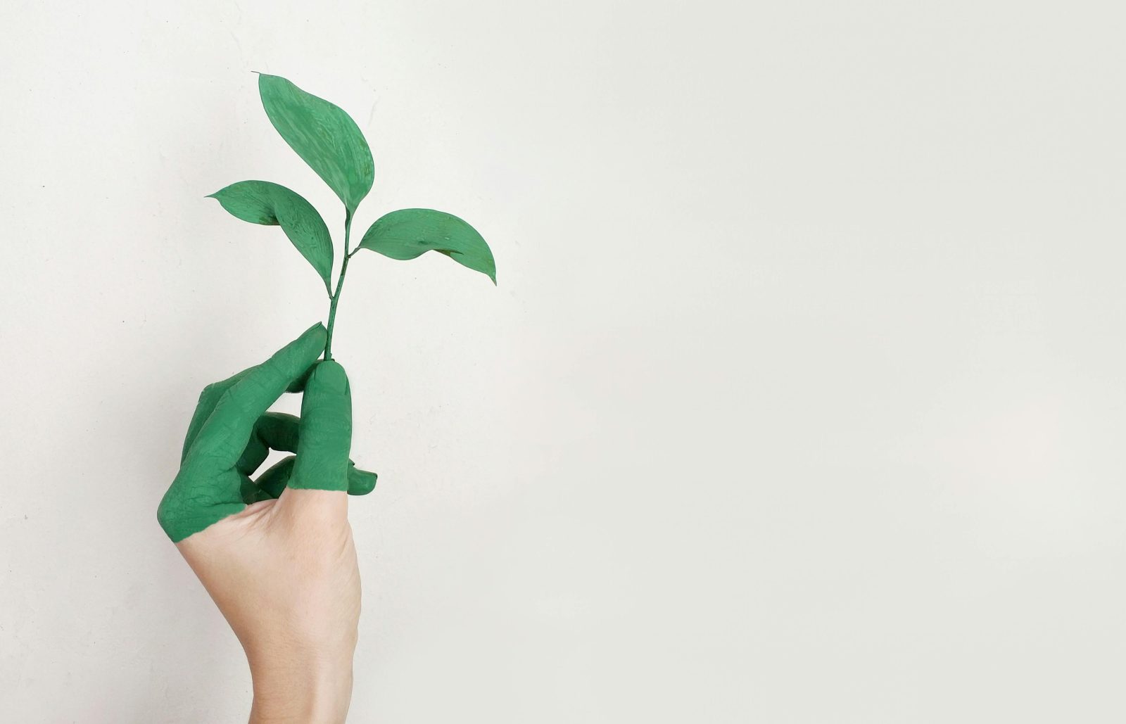 Sustenabilitatea nu înseamnă slogane. Află cum poți distinge acțiunile reale de greenwashing și de ce transparența devine obligatorie pentru companii în 2025.