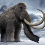 mamut readus la viata