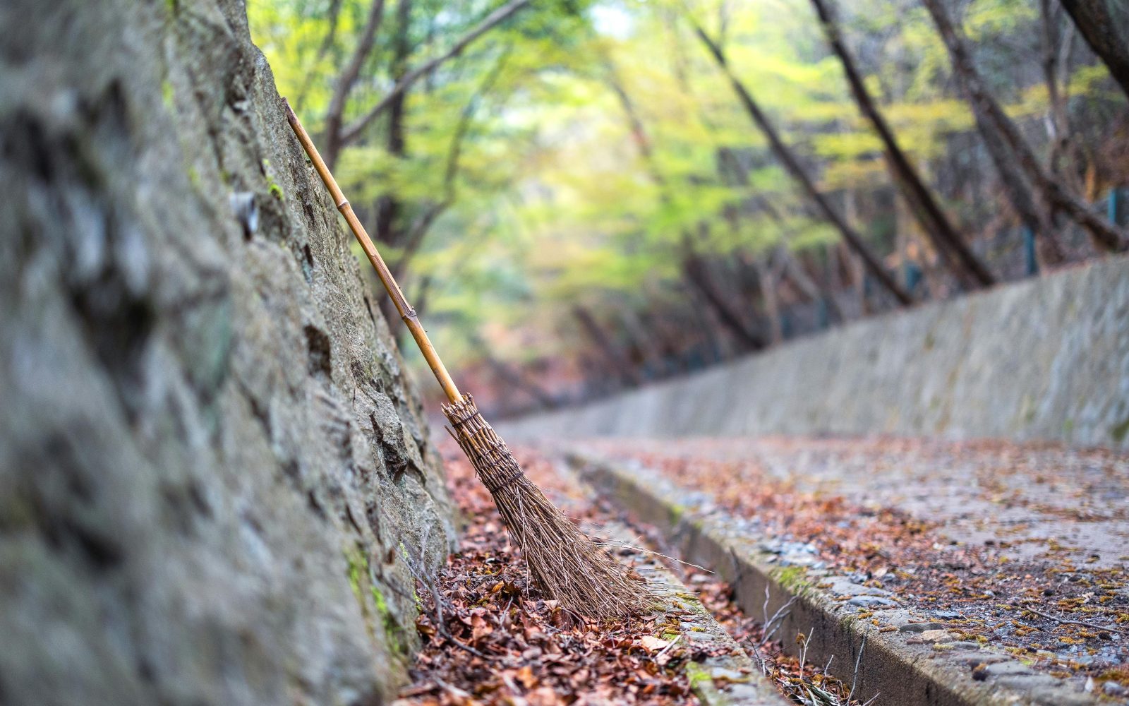 Ziua Curățeniei Naționale