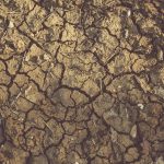 Încălzirea globală accelerată de activitatea umană atinge un ritm alarmant