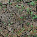 Alarma verde: 60–70% din solurile Europei sunt degradate — ce înseamnă pentru agricultură și securitatea alimentară