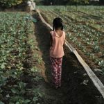 Zâmbetul din Cutie 2025: Campania Națională de Crăciun care aduce lumină în viețile copiilor din România