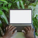Cum reducem amprenta de carbon digitală: pași simpli pentru un internet mai prietenos cu mediul