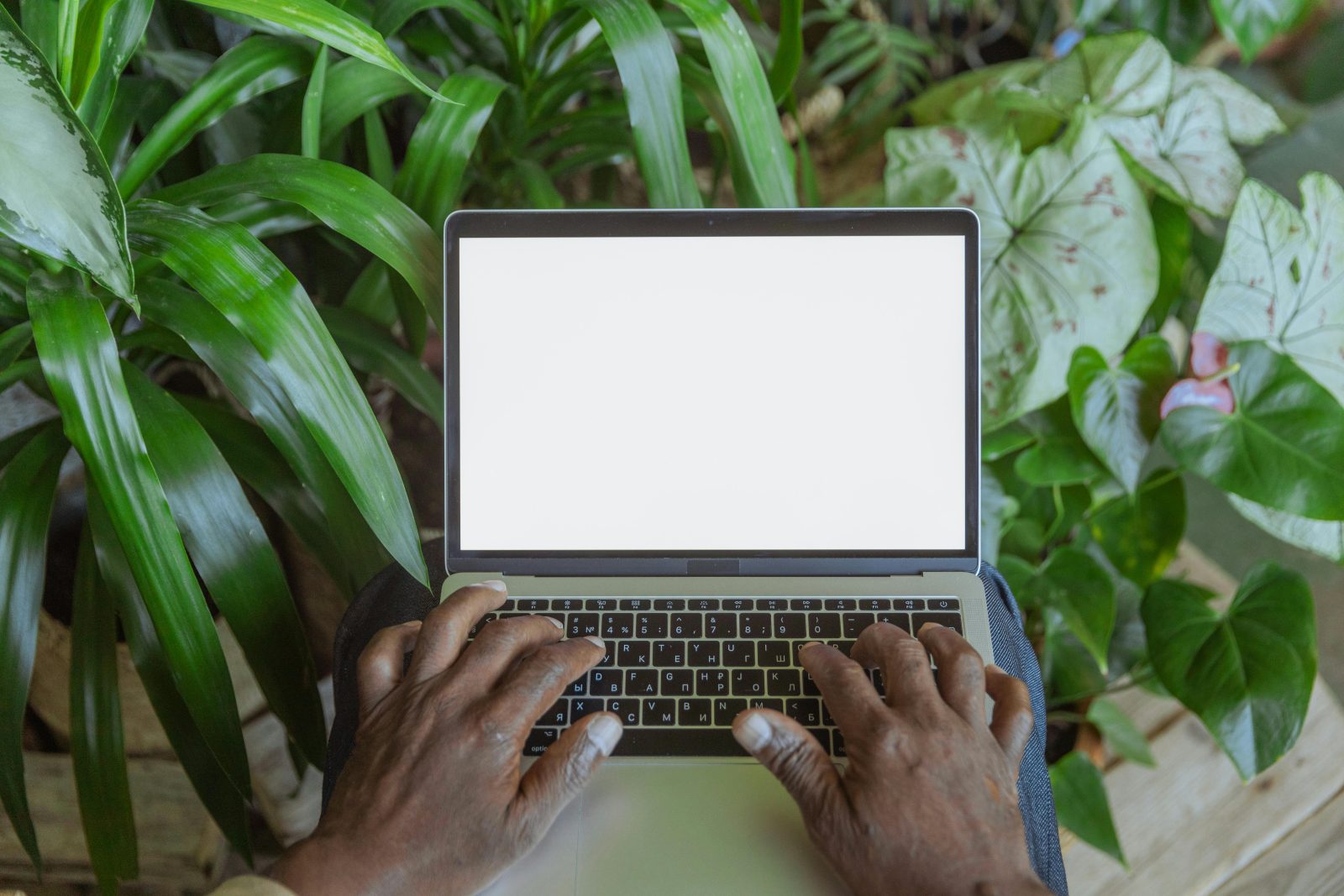 Cum reducem amprenta de carbon digitală: pași simpli pentru un internet mai prietenos cu mediul