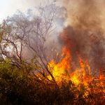 Cum poate industria asigurărilor face față provocării climatice