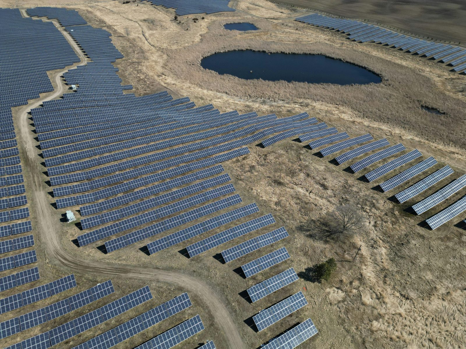 Energia verde bate recordul: fermele solare și parcurile eoliene au produs mai multă energie decât centralele pe cărbune