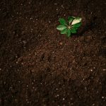 Nu putem repara clima dacă continuăm să ignorăm solul