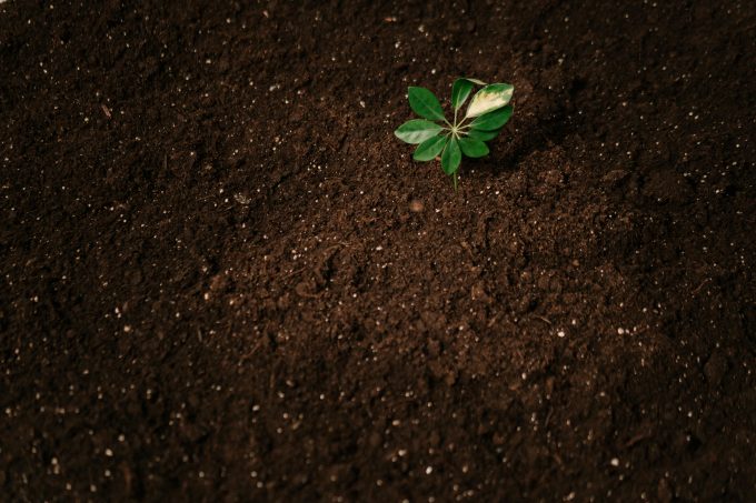 Nu putem repara clima dacă continuăm să ignorăm solul