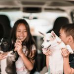 Protecția animalelor devine materie în școli: copiii învață empatie, grijă și responsabilitate