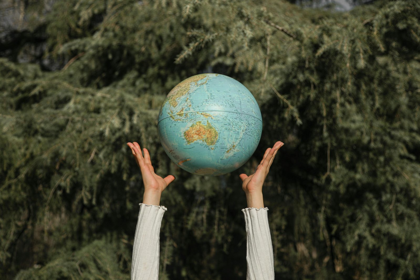 „Rețeta” pentru a repara planeta, potrivit unui raport major al UNEP