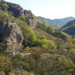 Conservarea naturii se confruntă cu o criză de sustenabilitate umană