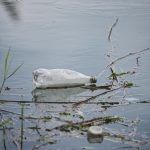 Criza plasticului: Municipiile care adoptă sisteme inovatoare de reutilizare