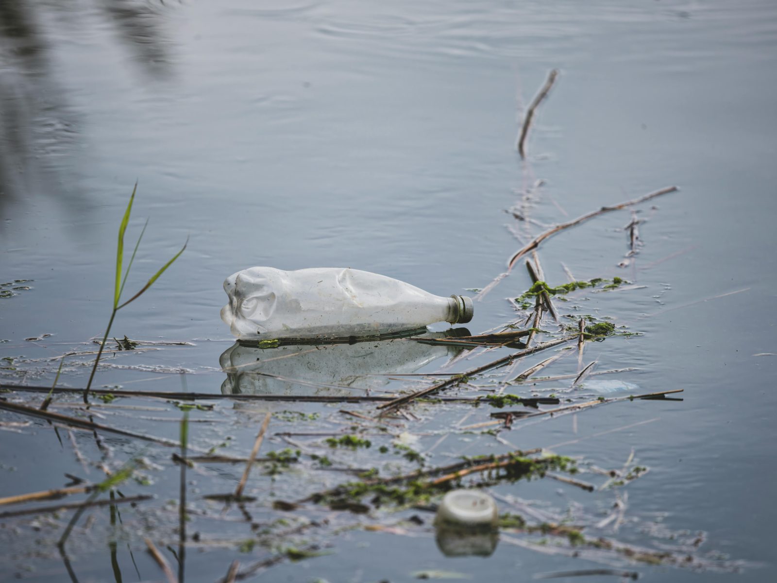 Criza plasticului: Municipiile care adoptă sisteme inovatoare de reutilizare
