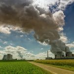 Piețe de carbon în Asia: de ce nu reușesc să protejeze biodiversitatea, potrivit unui studiu