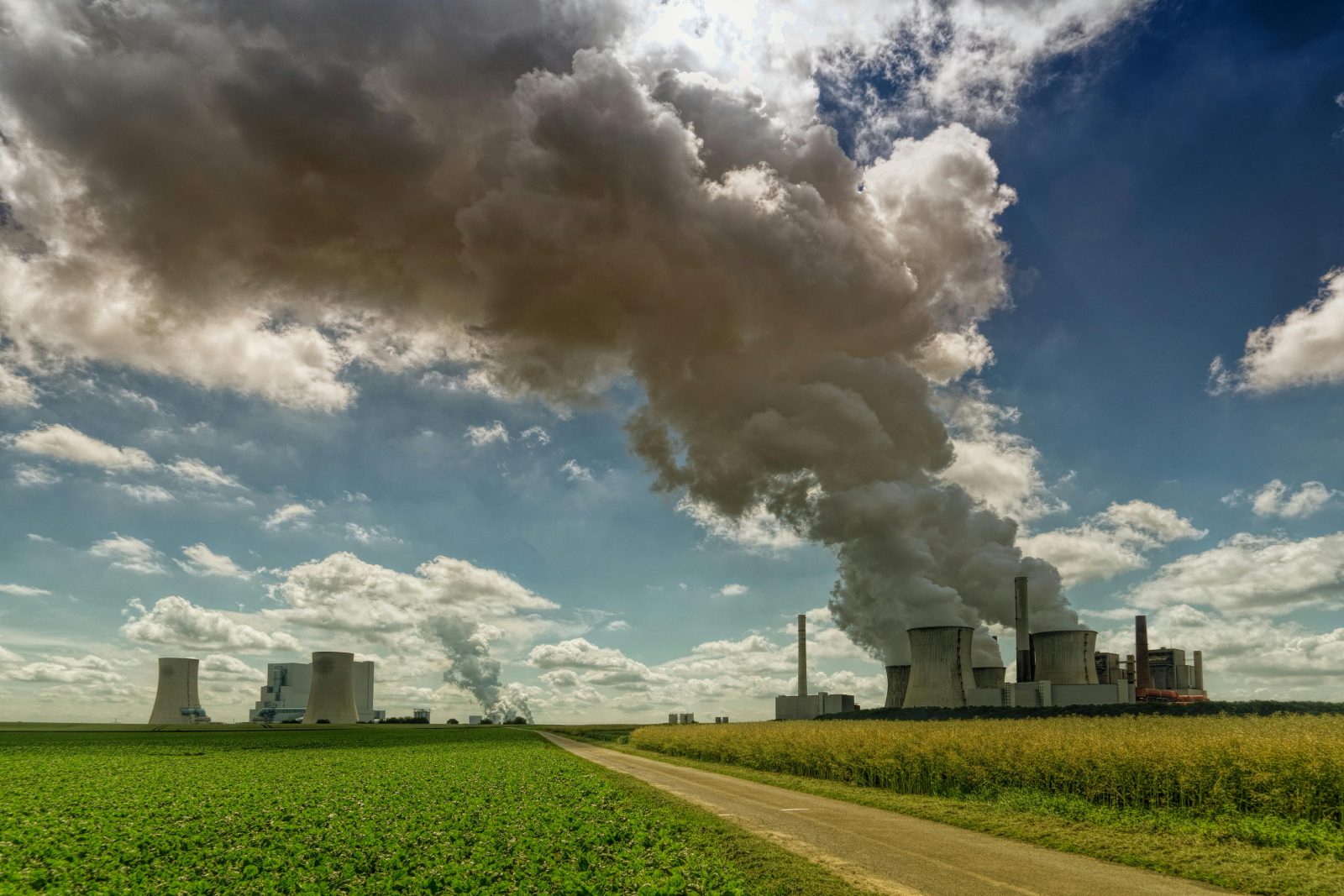 Piețe de carbon în Asia: de ce nu reușesc să protejeze biodiversitatea, potrivit unui studiu