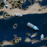 Microplasticele pot ajunge în toate organele, inclusiv în creier, arată un experiment preclinic