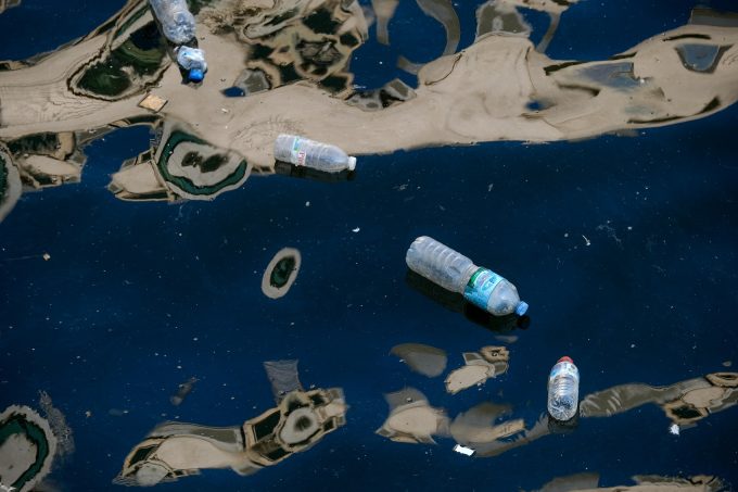 Microplasticele pot ajunge în toate organele, inclusiv în creier, arată un experiment preclinic