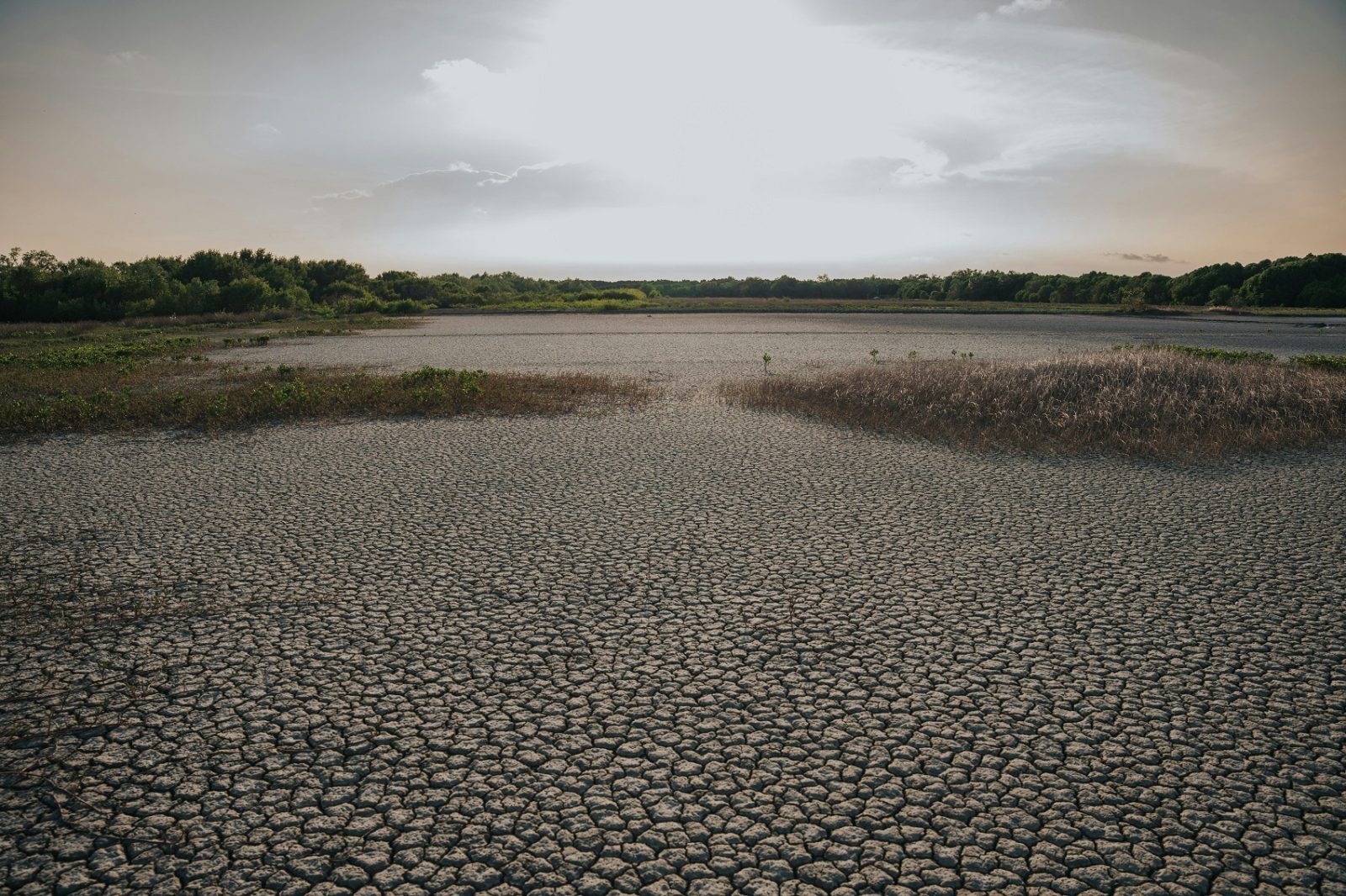 Schimbările climatice ar fi putut fi detectate încă din 1885, arată un studiu