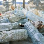 Fundul oceanelor, un „rezervor” uriaș de plastic. Ce arată primul studiu global