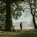 Pauzele fără scop chiar ajută creierul? Ce au descoperit cercetătorii despre învățarea fără obiectiv