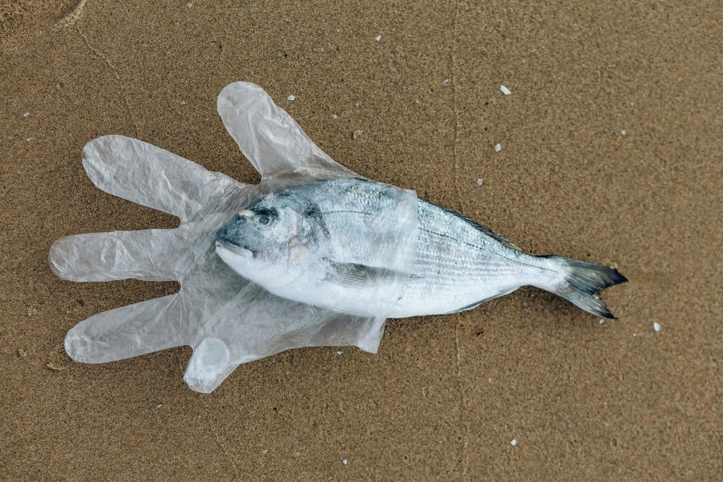 Fundul oceanelor, un „rezervor” uriaș de plastic. Ce arată primul studiu global