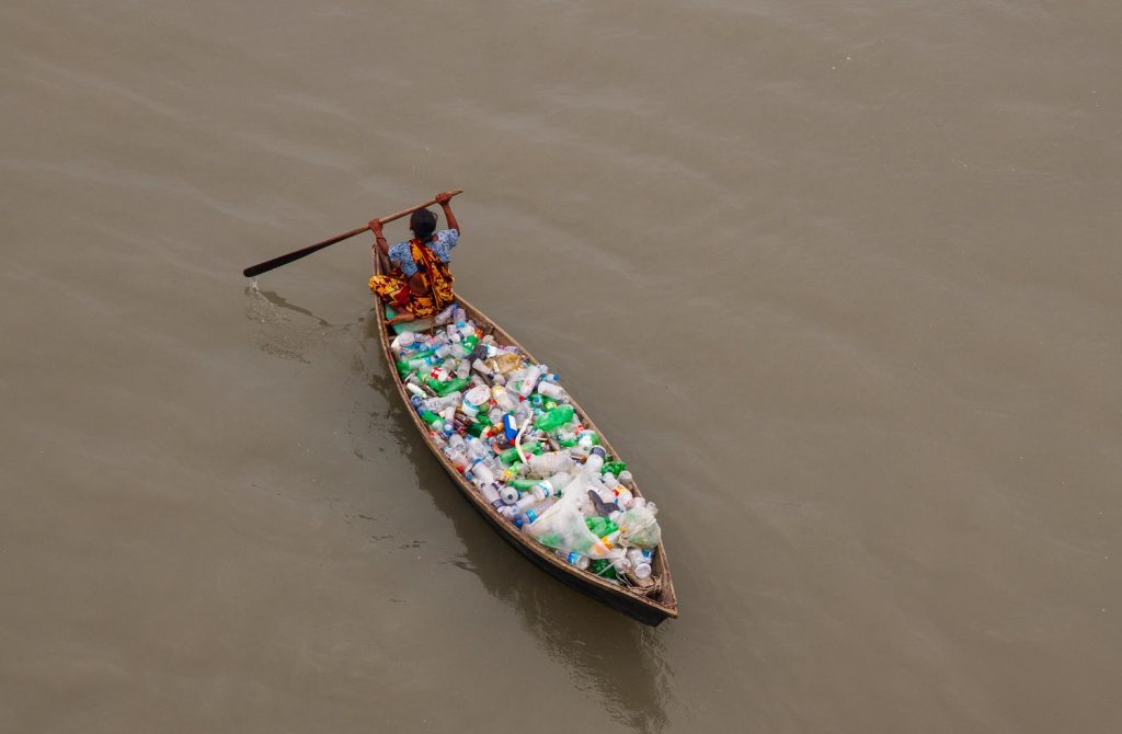 Microplasticele pot ajunge în toate organele, inclusiv în creier, arată un experiment preclinic