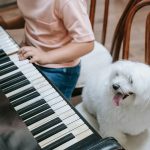 Muzica poate reduce anxietatea animalelor. Ce sunete funcționează cu adevărat pentru câini și pisici