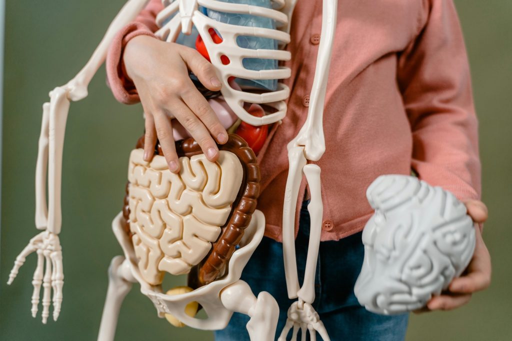 Ficatul care se îmbolnăvește în tăcere. Semnele ignorate și obiceiurile care îl afectează zilnic