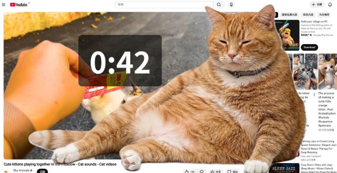 Cat Gatekeeper, extensia care pune o pisică între tine și rețelele sociale