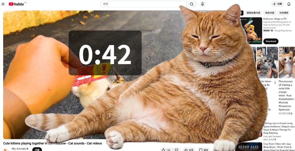 Cat Gatekeeper, extensia care pune o pisică între tine și rețelele sociale