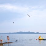28.800 de jucării au ajuns în ocean în 1992. Unde le-au purtat curenții după mai bine de 30 de ani