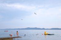 28.800 de jucării au ajuns în ocean în 1992. Unde le-au purtat curenții după mai bine de 30 de ani