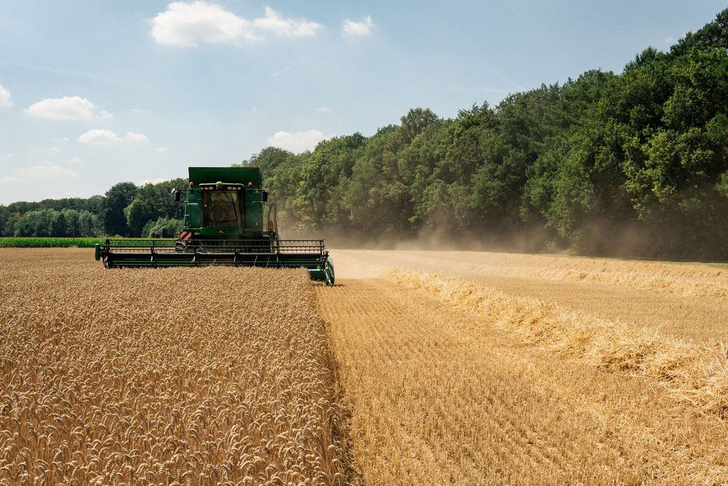 România exportă două treimi din cereale, dar pierde oportunitatea de a le procesa. Costurile fermierilor au crescut cu 300%