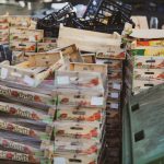 Risipa alimentară în lume: ce loc ocupă România în clasamentul european și câte kilograme de mâncare aruncă fiecare persoană